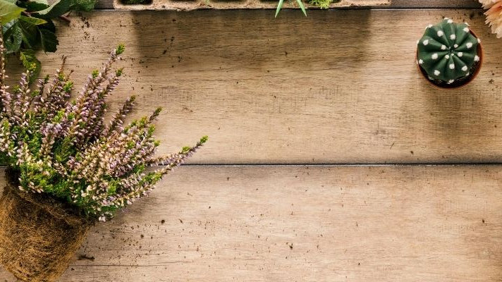 How You Can Correct Bad Feng Shui with Artificial Plants