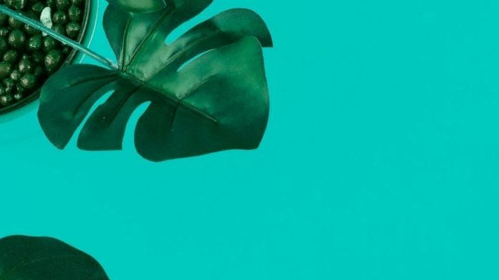 What Are Faux Plants Made Of