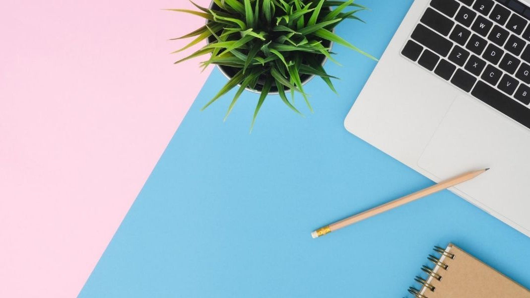 Best Tabletop Plants for Offices