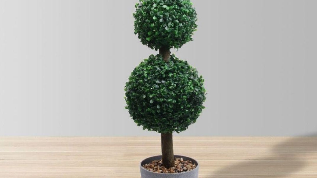Dos and Don’ts of Having A Boxwood Topiary
