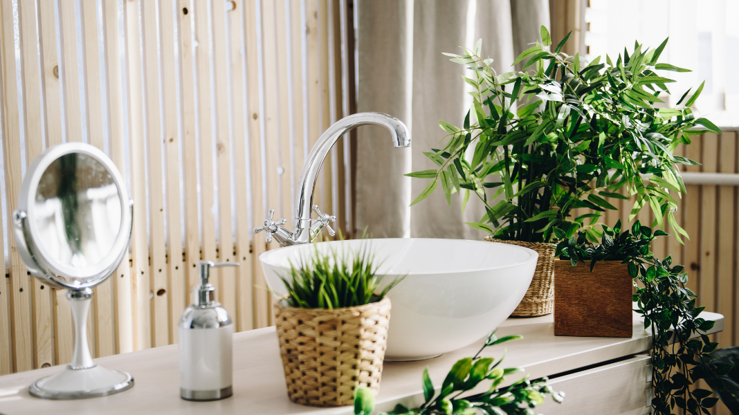 Where Is The Best Place To Buy Artificial Plants For Offices?