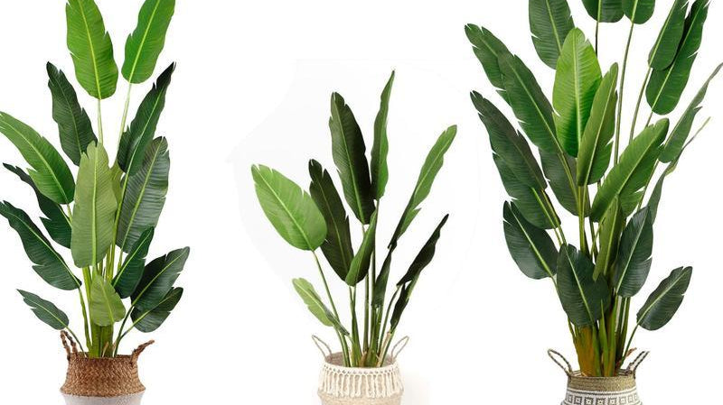 How to clean indoor fake plants ?