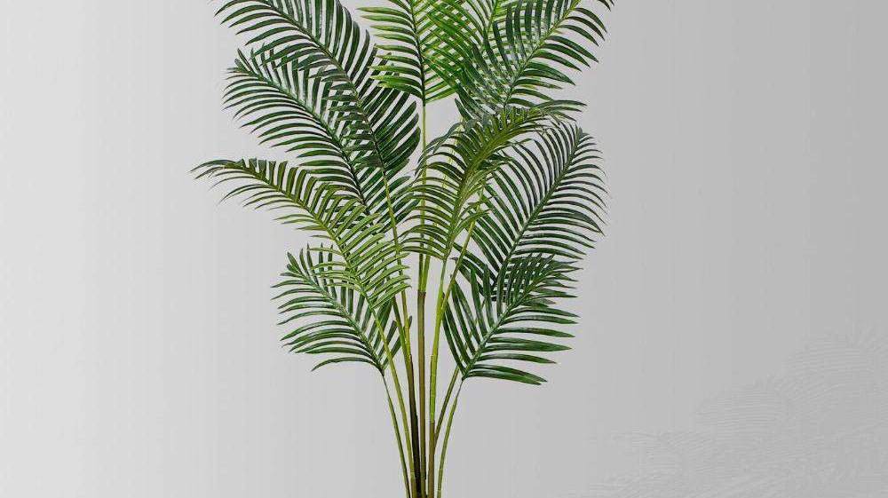 Does A Fake Palm Tree Look Real?