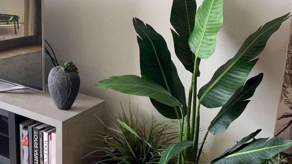 Best Artificial Plants For Easter 2022