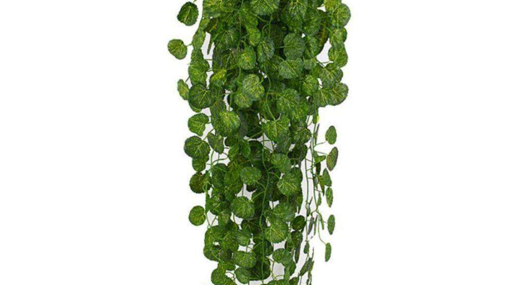 Where Can I Buy Fake Hanging Plants?
