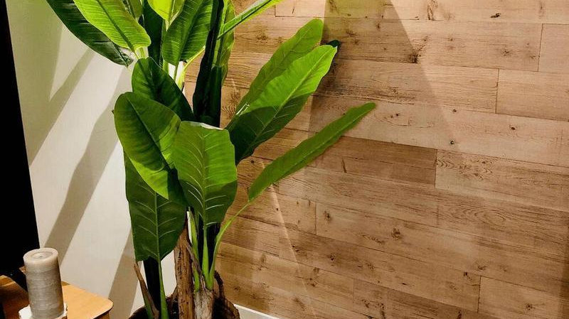 How to Decorate Your Home with Fake Plants | Artiplanto