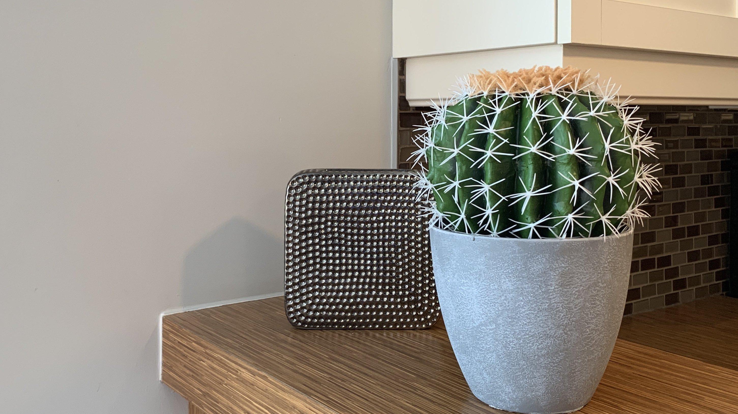 How to Style Artificial Cactus for Your Workstation