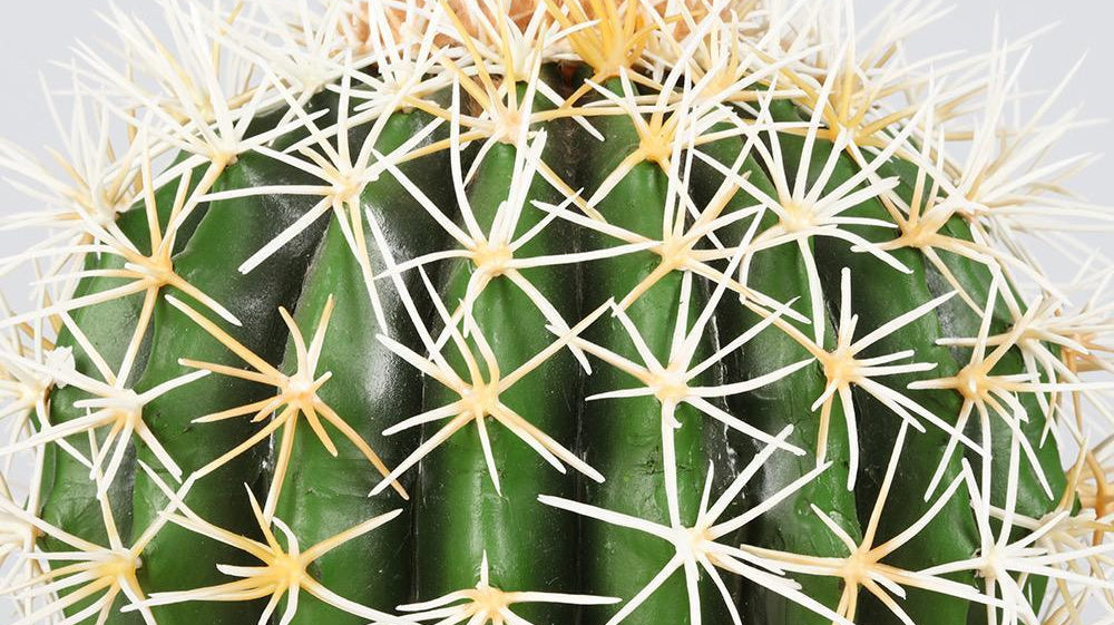 How to style with artificial cactus indoor? | Artiplanto