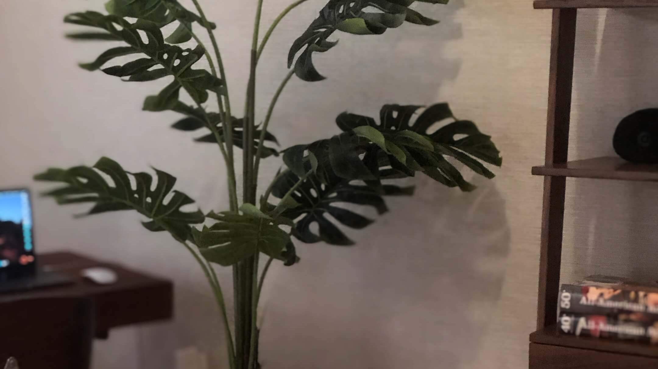 Complete Guide How to Pot Your Faux Fiddle Leaf Fig Tree