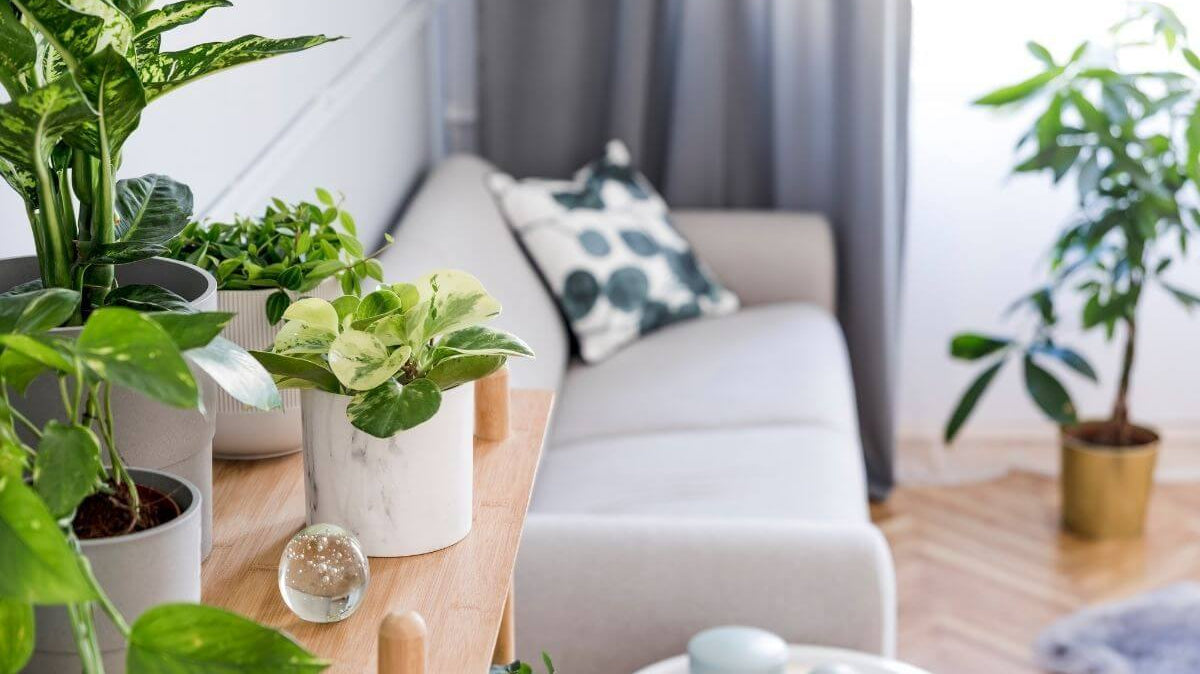 Common Home Décor Mistakes You Should Avoid