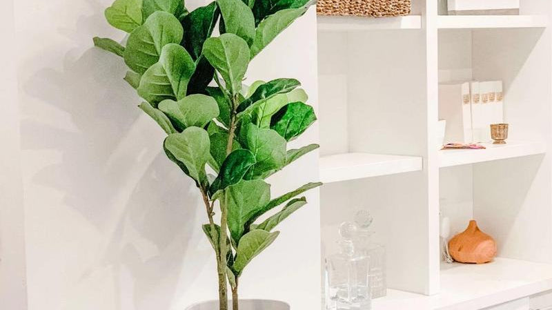 Top Three Reasons You Need Fake Plants in Your Office