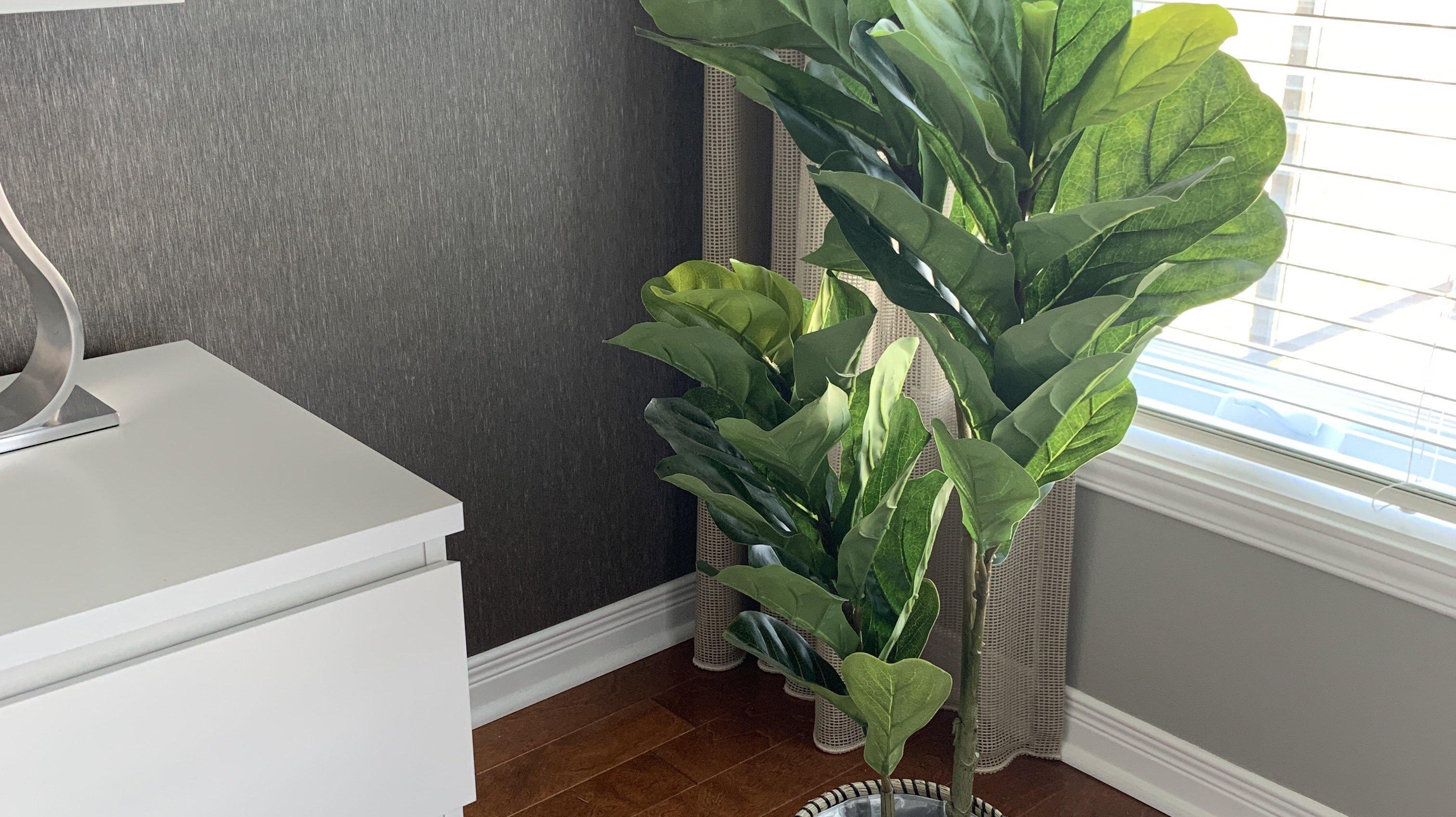 How to pick your 1st faux fiddle leaf fig tree online? | Artiplanto