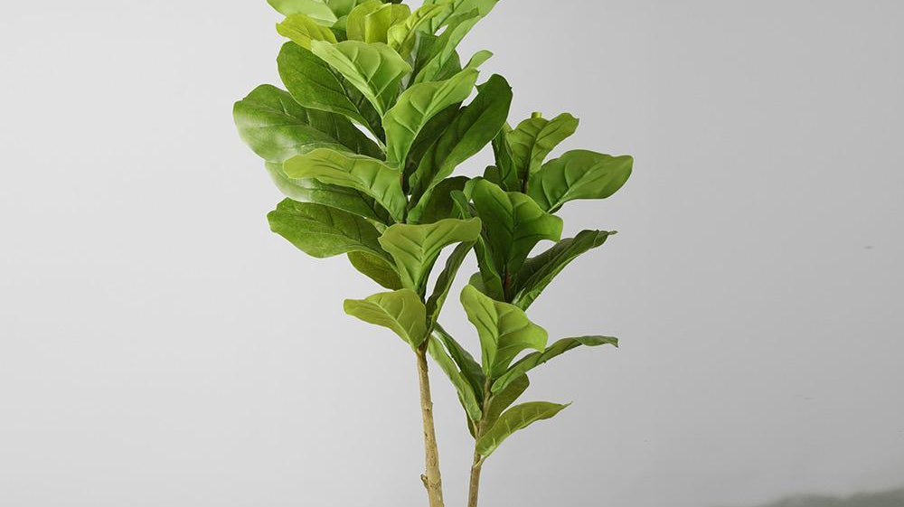 How to Take Care of Your Faux Fiddle Leaf Fig Tree