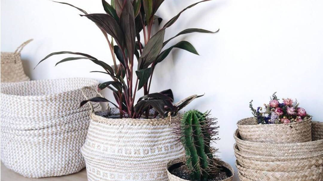 Why It's a Good Idea to Have Fake Plants at Your Bathroom