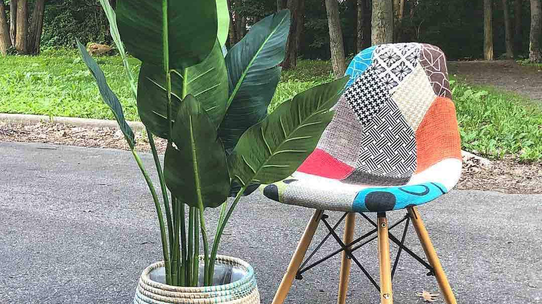 How to Choose the Right Planter, Pot, or Basket For Your Plant
