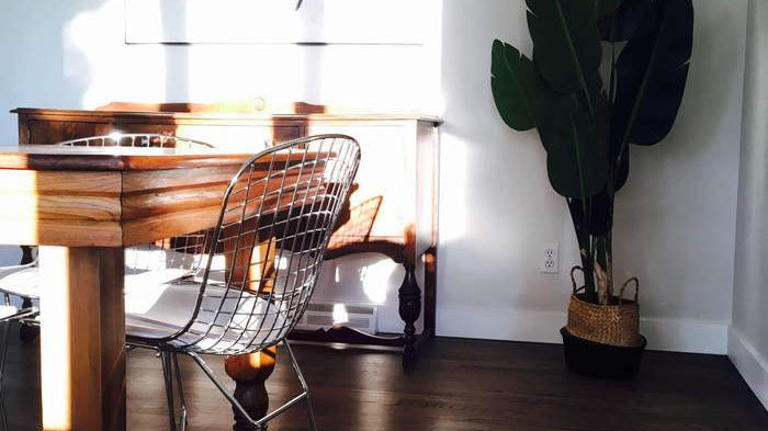 perfect guide how to buy artificial plants