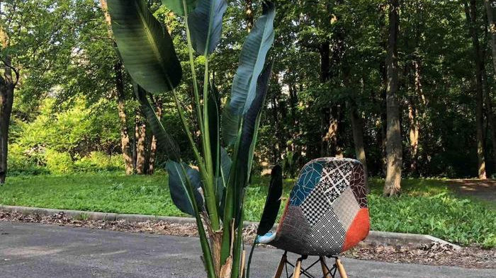 Can I Relocate My Fake Plants Outdoors