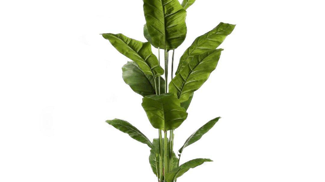 Faux Plants Trends to Watch Out for 2020 | Artiplanto