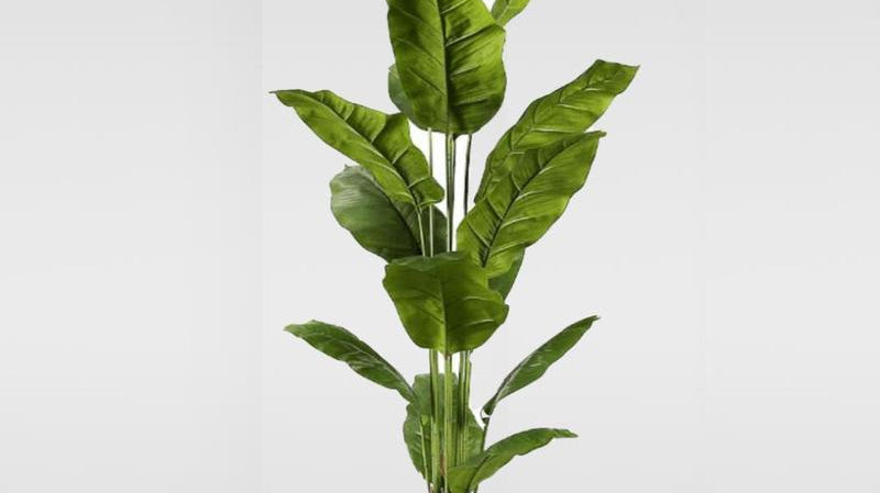 Fake Plant Buying Guide for Both Home & Kitchen