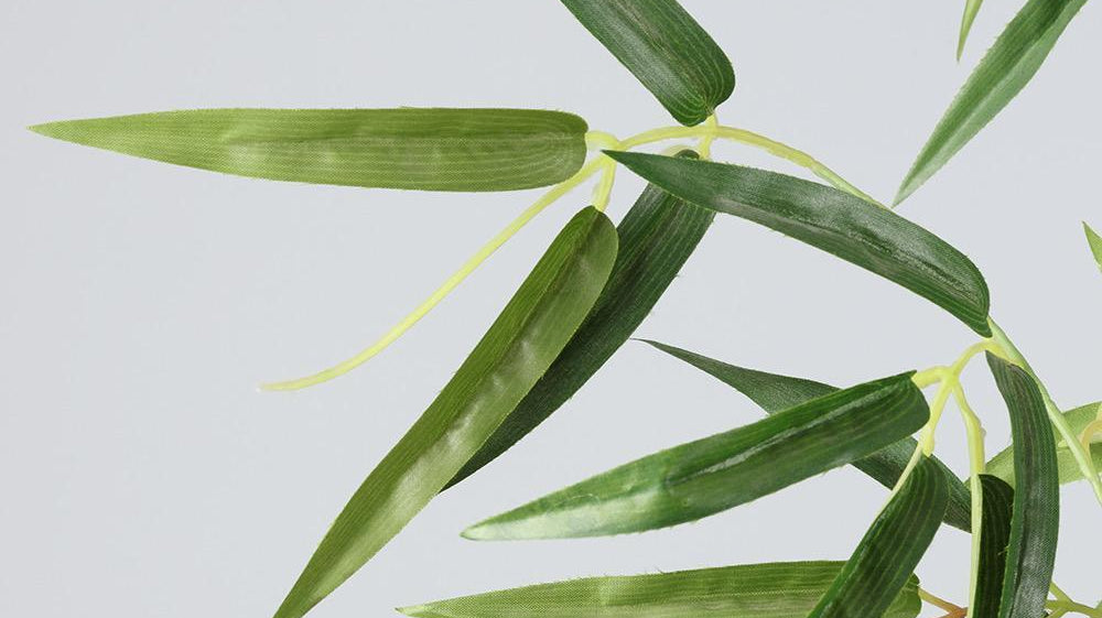 Are fake plants good for Feng Shui? | Artiplanto