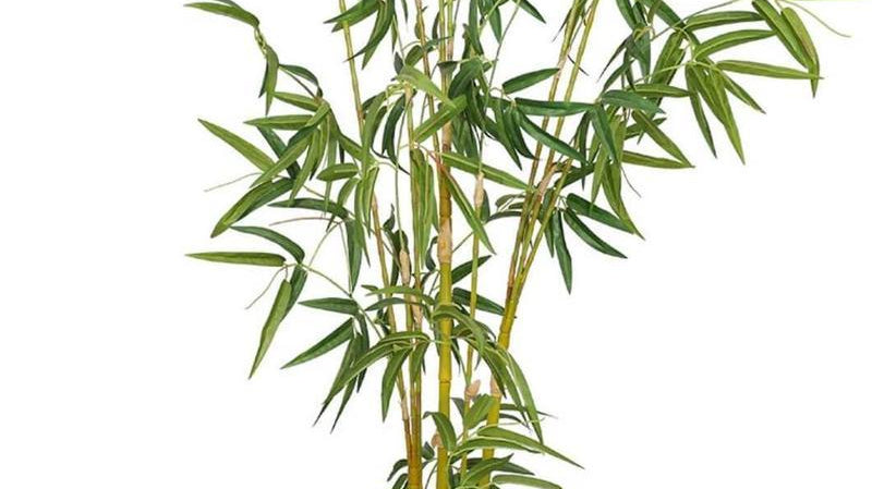 Use Artificial Plants for Feng Shui