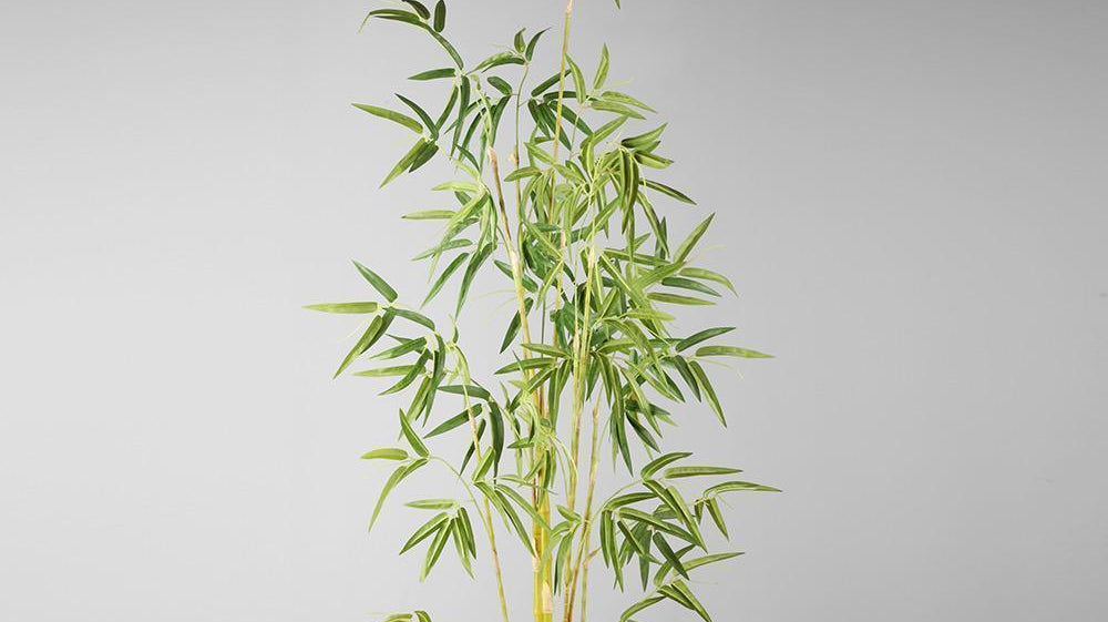 2020 Top trendiest artificial plant for decor