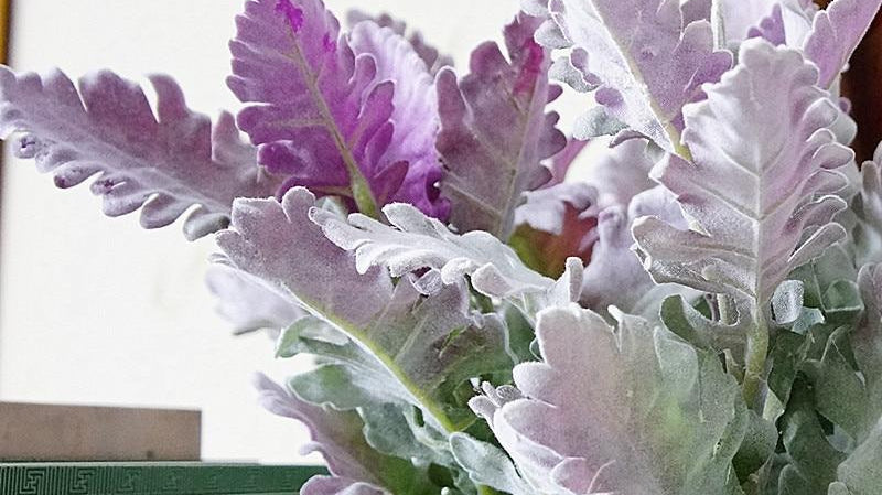 Top 5 Benefits of having Faux Flowers at your home