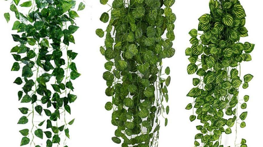 Where Should Hanging Plants Be Placed | Artiplanto