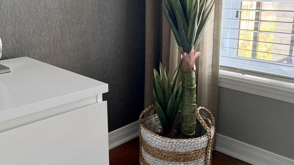 What Are the Best Indoor Artificial Plants for Your Covid-19 Work from the Home Section?