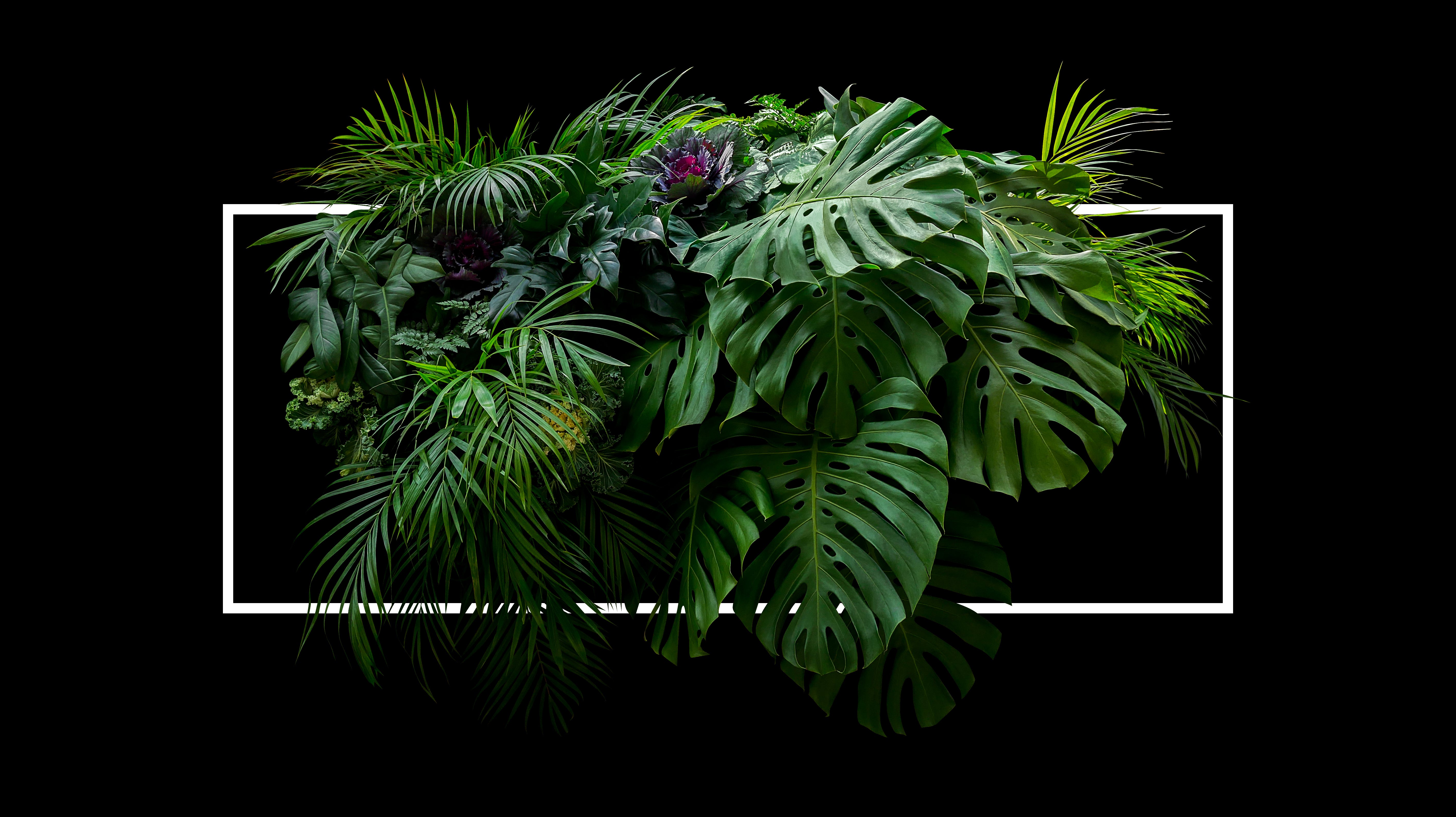 Top 7 Artificial Plants that New Yorkers Love