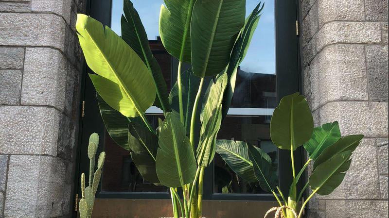 A new 2020 office decoration element with faux plants | Artiplanto
