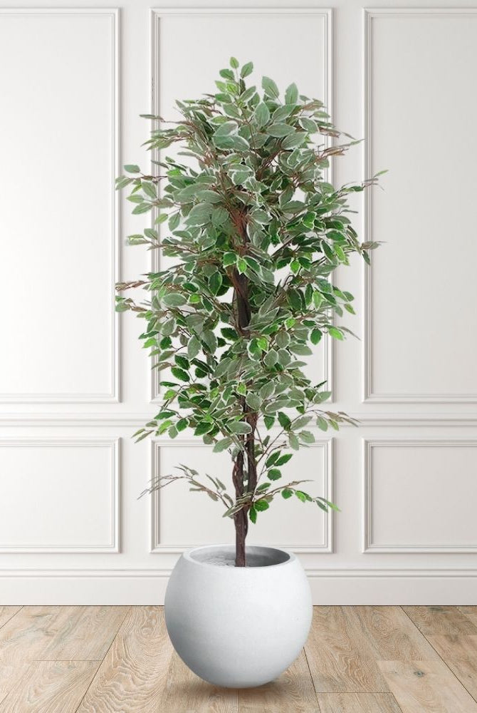 Potted Artificial Plant - Olaya Artificial Ficus Potted Plant 6'