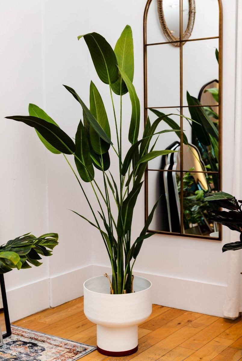 Potted Artificial Plant - Cana Artificial Canna Potted Plant (Multiple Sizes)