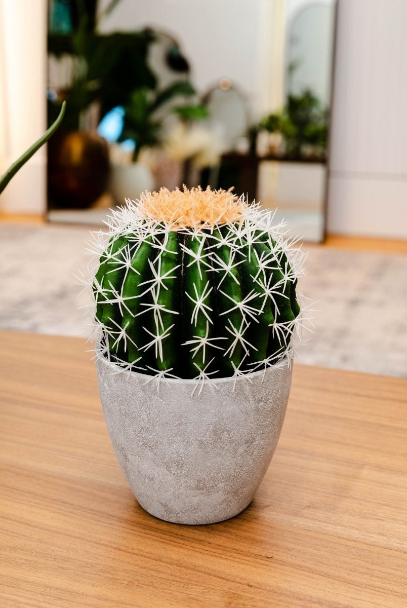 Potted Artificial Plant - Coco Artificial Cactus Potted Plant 11"