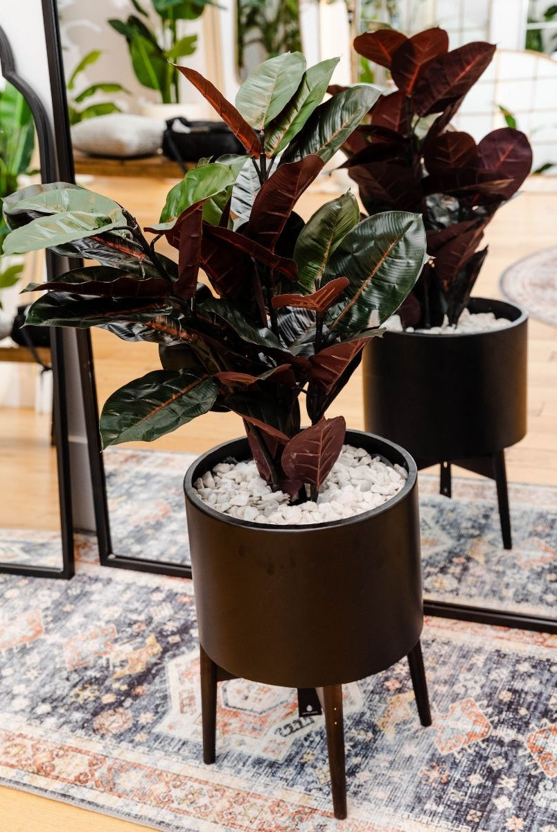 Potted Artificial Plant - Salamina Artificial Rubber Potted Plant 3'