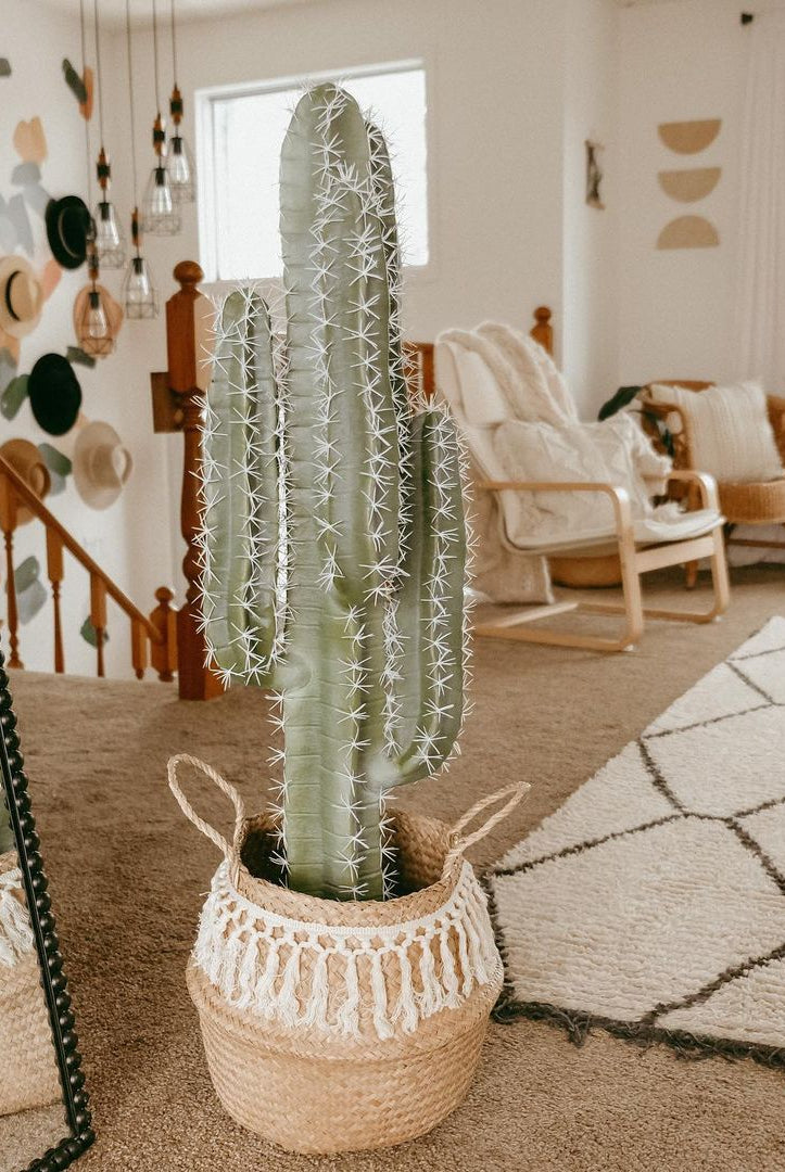 Potted Artificial Plant - Tito Artificial Cactus Potted Plant 41''