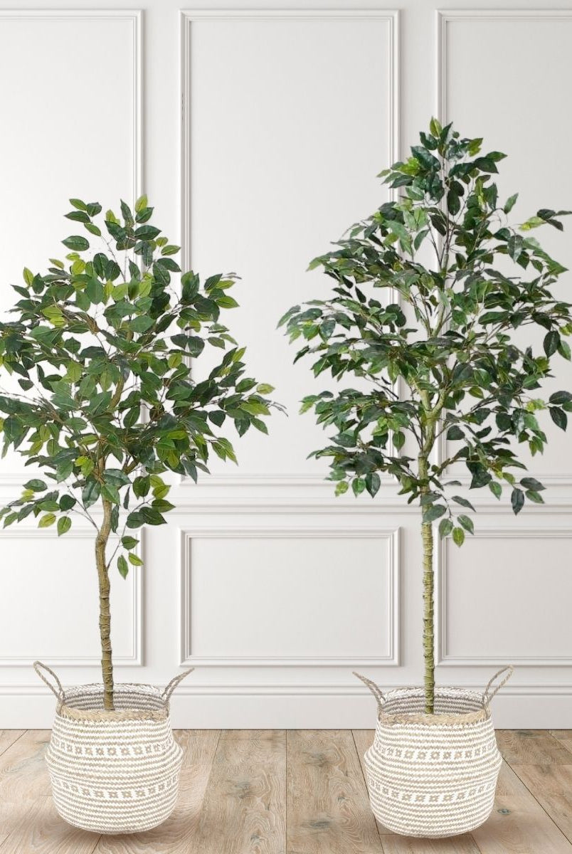 Potted Artificial Plant - Figgi Artificial Ficus Tree Potted Plant (Multiple Sizes)