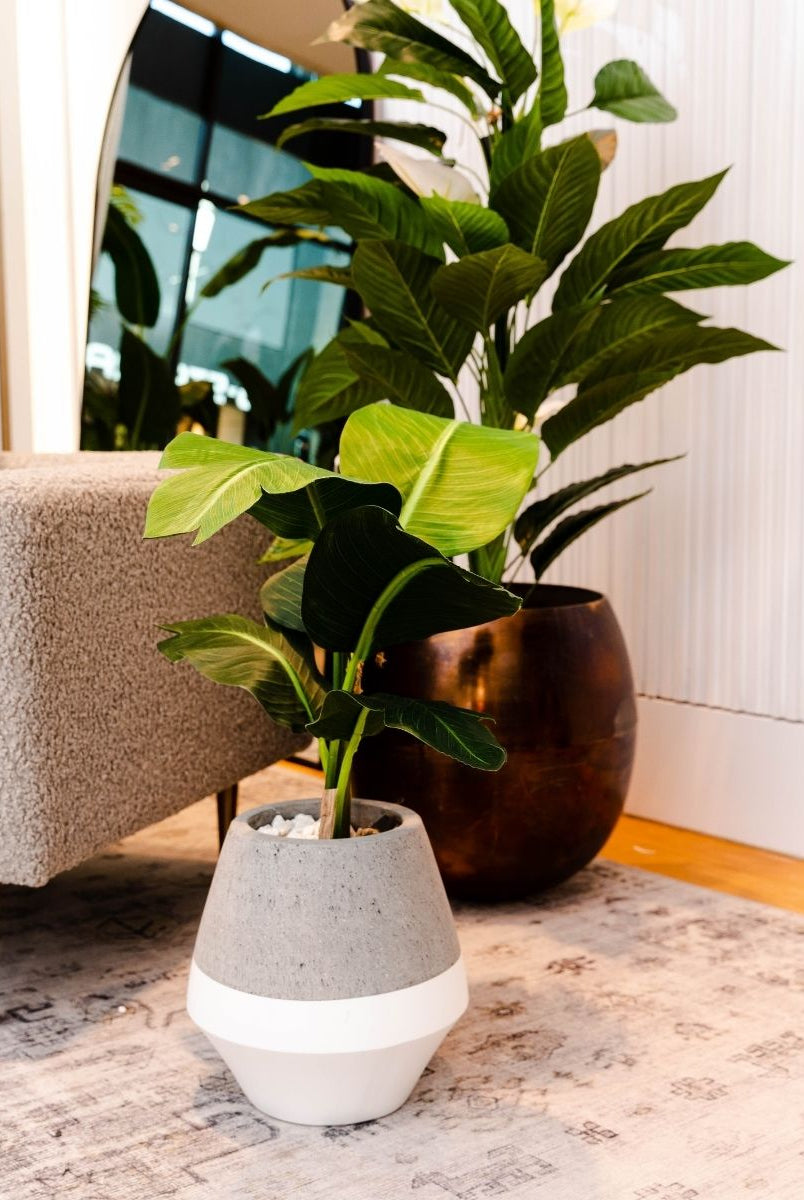 Cement Planter - Gia Cement Planter