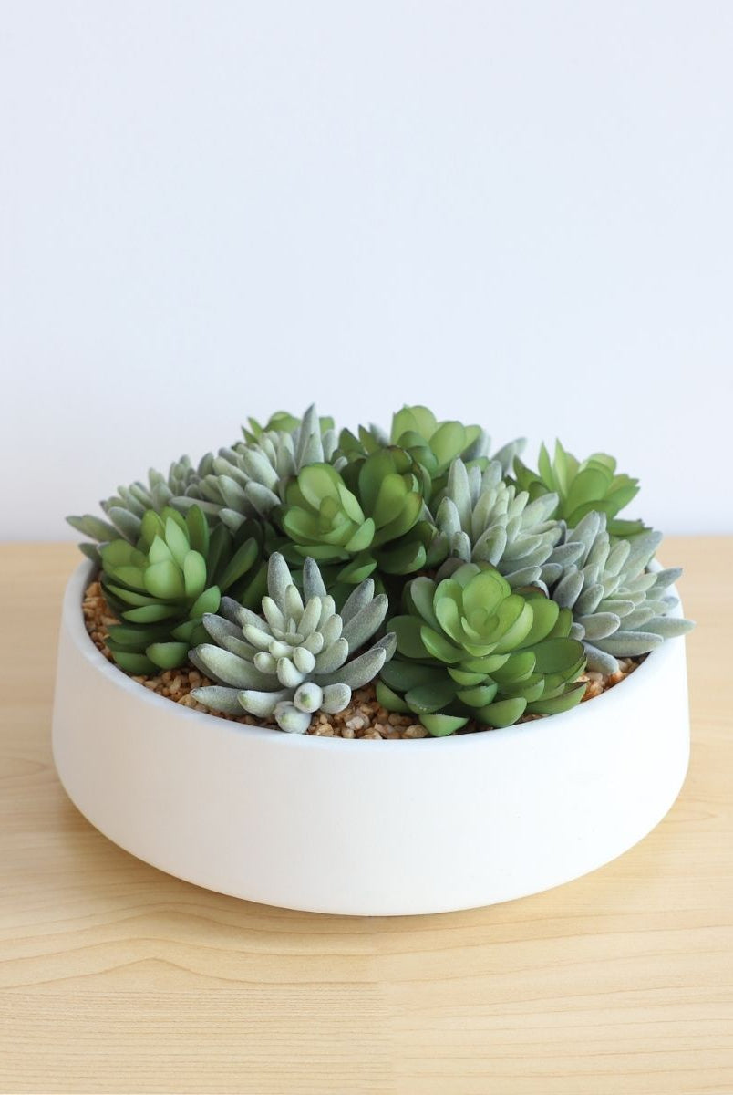 Potted Artificial Plant - Eva Artificial Succulent Arrangement In Low White Pot