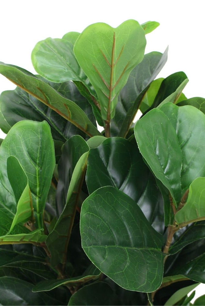 Potted Artificial Plant - Guatape Artificial Fiddle Leaf Potted Plant (Multiple Sizes)
