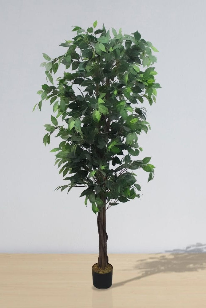 Potted Artificial Plant - Tarso Artificial Ficus Potted Plant 6'