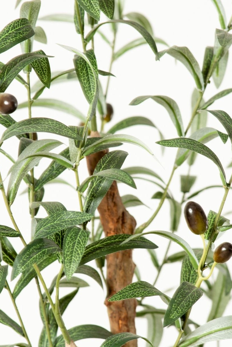 Potted Artificial Plant - Olivo Artificial Olive Tree Potted Plant (Multiple Sizes)