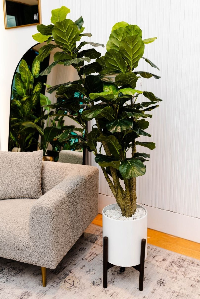 Potted Artificial Plant - Pico Artificial Fiddle Leaf Potted Plant 5.5'