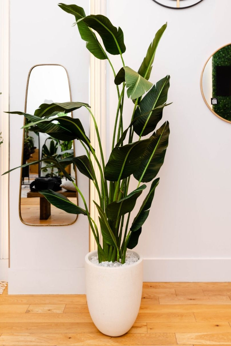 Potted Artificial Plant - Zapo Artificial Bird Of Paradise Potted Plant (Multiple Sizes)
