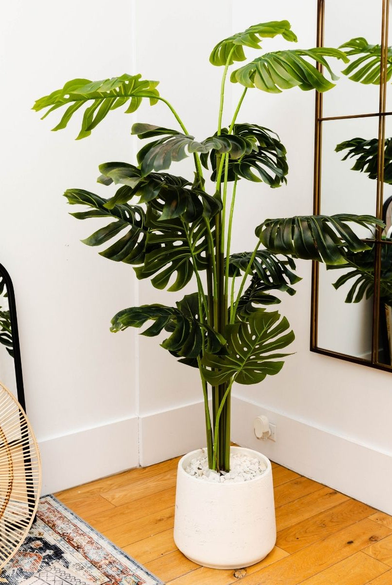 Potted Artificial Plant - Rita Artificial Monstera Potted Plant (Multiple Sizes)