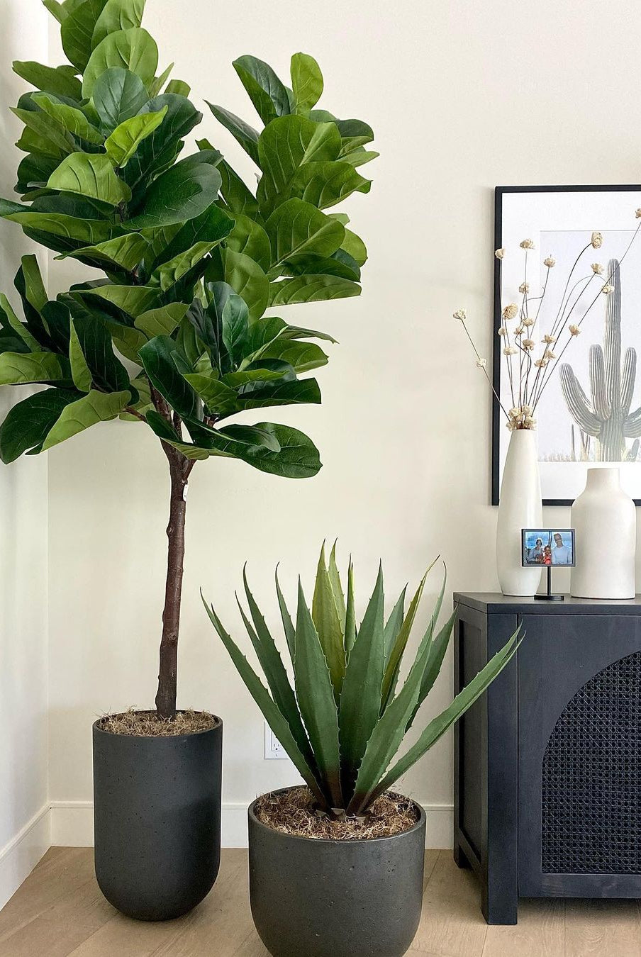 Potted Artificial Plant - Tunja Artificial Century Potted Plant (Multiple Sizes)
