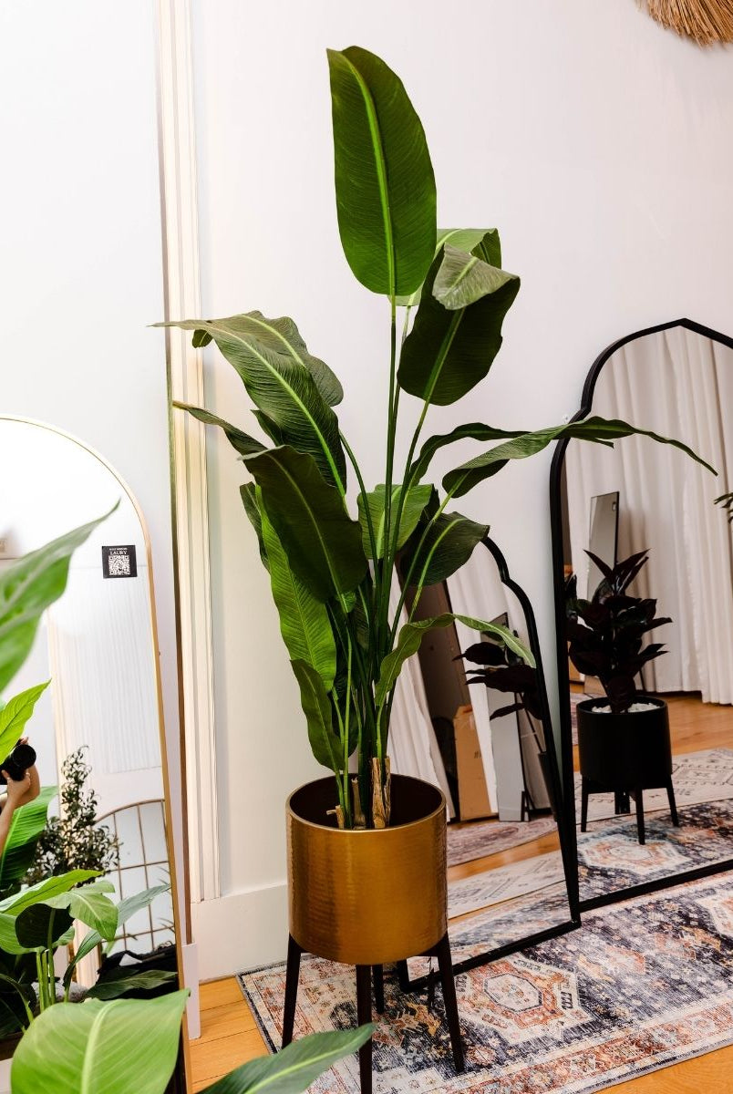 Potted Artificial Plant - Kola Artificial Travellers Palm Tree Potted Plant (Multiple Sizes)