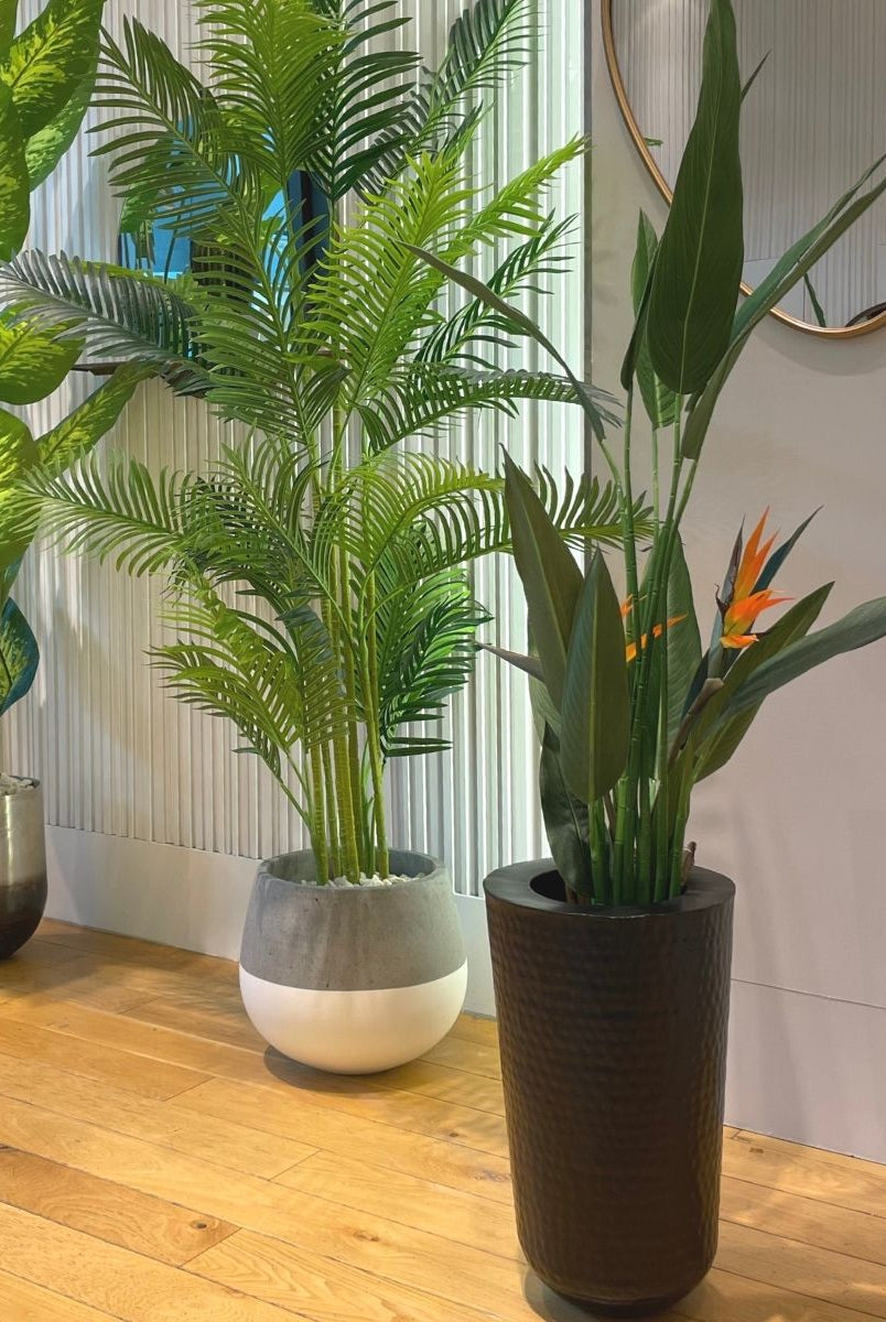 Cement Planter - Zamora Cement Planter (Multiple Sizes)