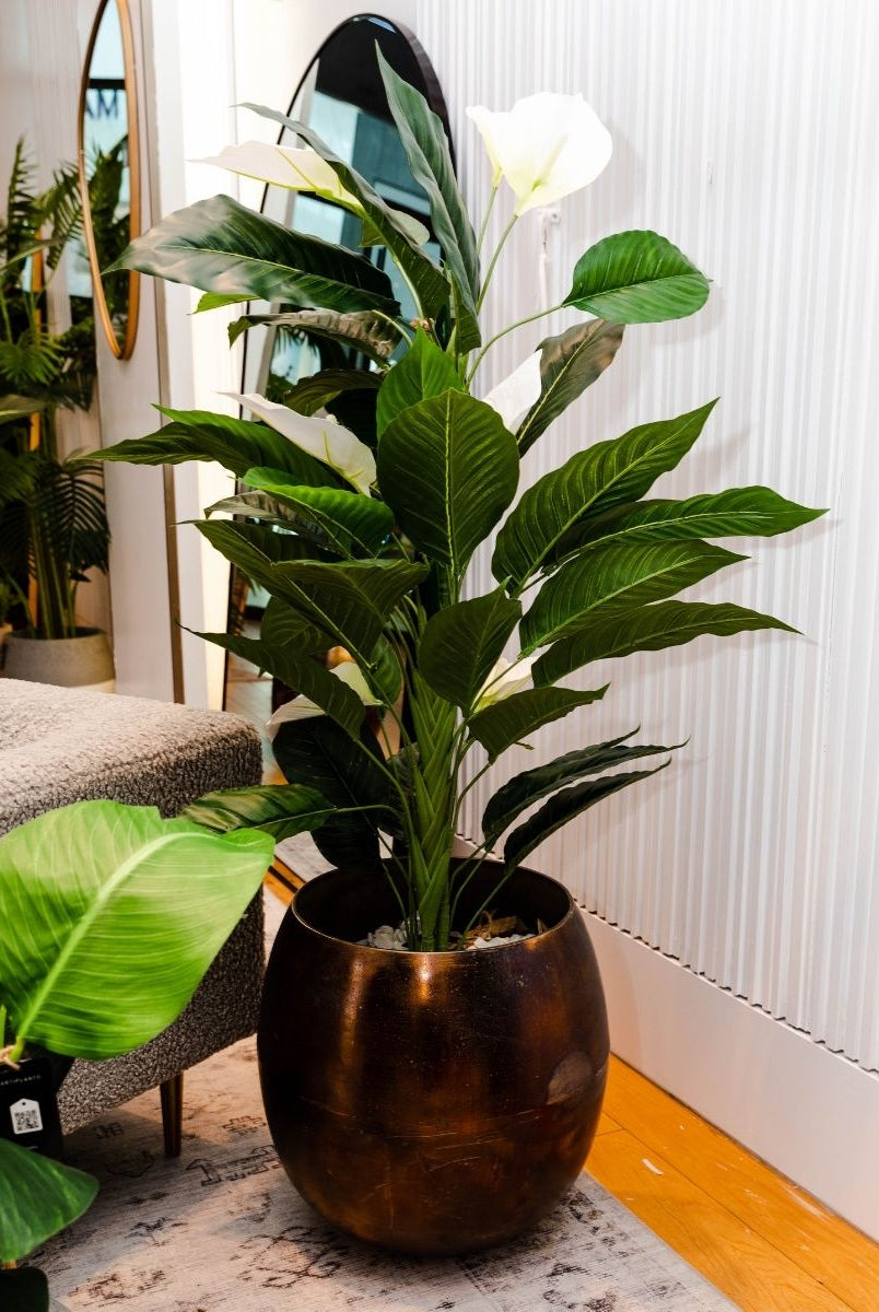 Potted Artificial Plant - Belen Artificial Anthurium Leaf Potted Plant (Multiple Sizes)