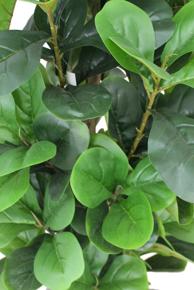 Potted Artificial Plant - Guatape Artificial Fiddle Leaf Potted Plant (Multiple Sizes)